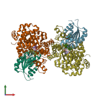 PDB entry 1i9c coloured by chain, front view.