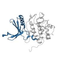 The deposited structure of PDB entry 1ia8 contains 1 copy of CATH domain 3.30.200.20 (Phosphorylase Kinase; domain 1) in Serine/threonine-protein kinase Chk1. Showing 1 copy in chain A.