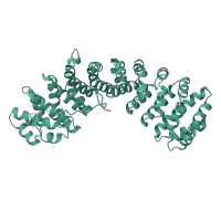 The deposited structure of PDB entry 1ial contains 1 copy of SCOP domain 48372 (Armadillo repeat) in Importin subunit alpha-1. Showing 1 copy in chain A.