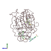 PDB entry 1ian coloured by chain, side view.