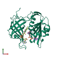PDB entry 1ib0 coloured by chain, front view.