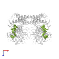 COA-S-ACETYL TRYPTAMINE in PDB entry 1ib1, assembly 1, top view.