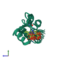 PDB entry 1ib7 coloured by chain, ensemble of 20 models, side view.