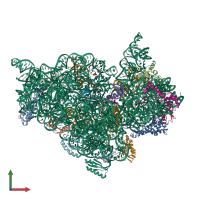 PDB entry 1ibl coloured by chain, front view.