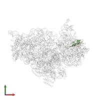Small ribosomal subunit protein uS10 in PDB entry 1ibl, assembly 1, front view.