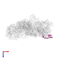 Small ribosomal subunit protein uS13 in PDB entry 1ibl, assembly 1, top view.