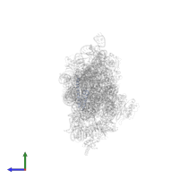 Small ribosomal subunit protein bS20 in PDB entry 1ibl, assembly 1, side view.