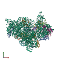 PDB entry 1ibm coloured by chain, front view.