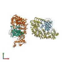 PDB entry 1ibr coloured by chain, front view.