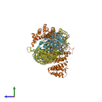 PDB entry 1ibr coloured by chain, side view.