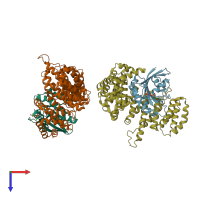 PDB entry 1ibr coloured by chain, top view.