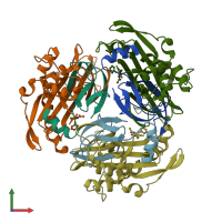 PDB entry 1ibu coloured by chain, front view.