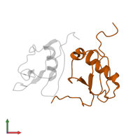 DNA fragmentation factor subunit alpha in PDB entry 1ibx, assembly 1, front view.