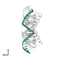 5'-D(*CP*TP*TP*GP*GP*TP*TP*AP*AP*TP*AP*AP*TP*TP*CP*AP*CP*CP*AP*GP*A)-3' in PDB entry 1ic8, assembly 1, side view.