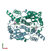 PDB entry 1icr coloured by chain, front view.