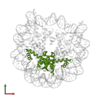 Histone H2B.2 in PDB entry 1id3, assembly 1, front view.
