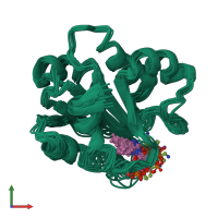 PDB entry 1id8 coloured by chain, ensemble of 15 models, front view.