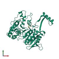 PDB entry 1idc coloured by chain, front view.