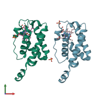 PDB entry 1idr coloured by chain, front view.