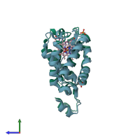 PDB entry 1idr coloured by chain, side view.