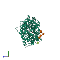 Monomeric assembly 1 of PDB entry 1iev coloured by chemically distinct molecules, side view.