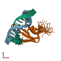 PDB entry 1ig4 coloured by chain, ensemble of 20 models, front view.