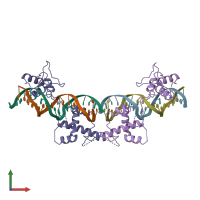 PDB entry 1ign coloured by chain, front view.