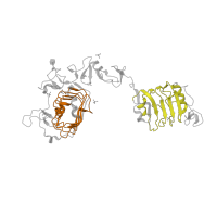 The deposited structure of PDB entry 1igr contains 2 copies of Pfam domain PF01030 (Receptor L domain) in Insulin-like growth factor 1 receptor alpha chain. Showing 2 copies in chain A.