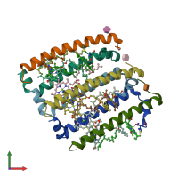 PDB entry 1ijd coloured by chain, front view.