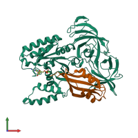 PDB entry 1ijf coloured by chain, front view.