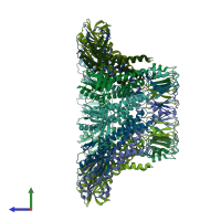 PDB entry 1ijg coloured by chain, side view.