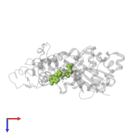 ADENOSINE-5'-TRIPHOSPHATE in PDB entry 1ijj, assembly 1, top view.