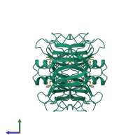 Homo tetrameric assembly 1 of PDB entry 1ijn coloured by chemically distinct molecules, side view.