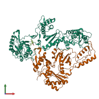 PDB entry 1ikv coloured by chain, front view.