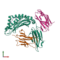 Hetero tetrameric assembly 3 of PDB entry 1im3 coloured by chemically distinct molecules, front view.