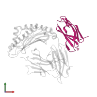 Unique short US2 glycoprotein in PDB entry 1im3, assembly 1, front view.