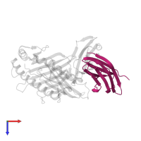 Unique short US2 glycoprotein in PDB entry 1im3, assembly 1, top view.