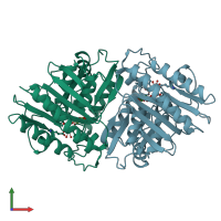 PDB entry 1ima coloured by chain, front view.