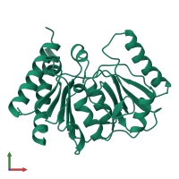 PDB entry 1imf coloured by chain, front view.