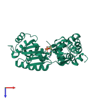 PDB entry 1in8 coloured by chain, top view.