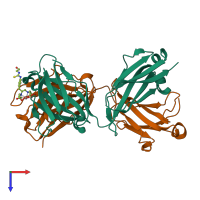 PDB entry 1ind coloured by chain, top view.