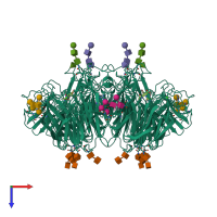 Homo tetrameric assembly 1 of PDB entry 1inh coloured by chemically distinct molecules, top view.