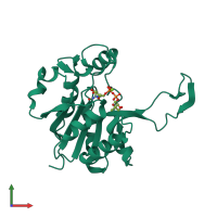 PDB entry 1ini coloured by chain, front view.