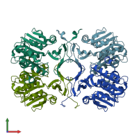 PDB entry 1inl coloured by chain, front view.