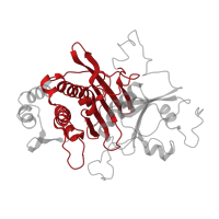 The deposited structure of PDB entry 1inp contains 1 copy of CATH domain 3.30.540.10 (Fructose-1,6-Bisphosphatase; Chain A, domain 1) in Inositol polyphosphate 1-phosphatase. Showing 1 copy in chain A.