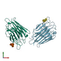 PDB entry 1ioa coloured by chain, front view.