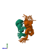 PDB entry 1iog coloured by chain, ensemble of 19 models, side view.