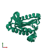 PDB entry 1iou coloured by chain, ensemble of 20 models, front view.