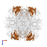 Ribulose bisphosphate carboxylase small subunit, chloroplastic 2 in PDB entry 1ir1, assembly 1, top view.
