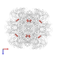 Modified residue KCX in PDB entry 1ir1, assembly 1, top view.